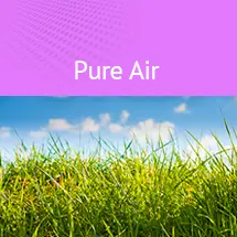Pure Air Öl – reine Raumluft